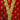 Bloomsbury Wine Sprig Robe