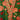 Bloomsbury Green Petal Robe